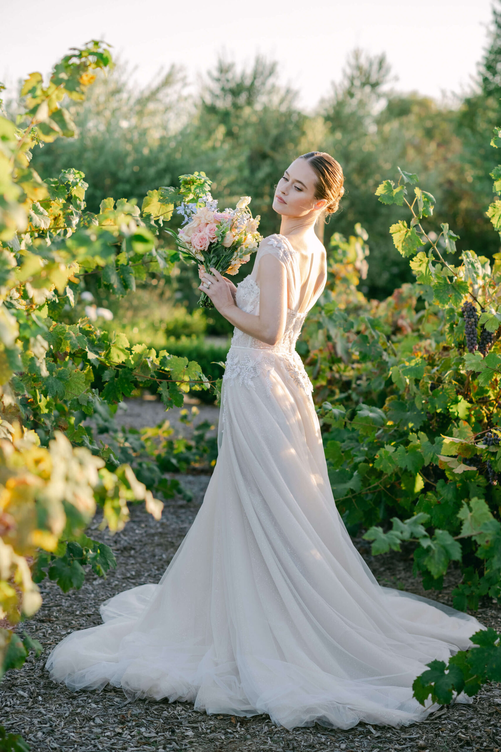 Tuscan_Rose_Ranch-590